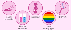Fertility Tourism Market