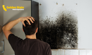 Home Inspector