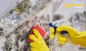 Home Inspector