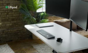 work from home desk setup