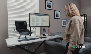 remote work desk options