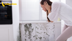 Mold inspections in Los Angeles