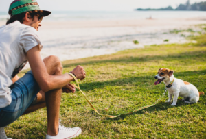 What Creative Activities Can You Try with Your Dog This Summer?