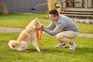 Top 7 Dog Toys That Will Keep Your Pet Happy and Active