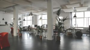 6 Key Steps to Building Sustainable and Eco-Friendly Office Spaces