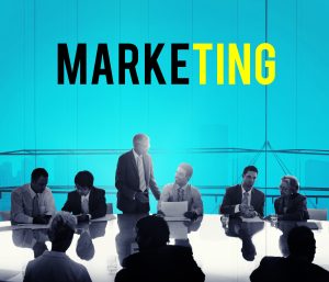 A Complete Guide to Selecting the Best Digital Marketing Agency