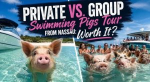 Private vs. Group Swimming Pigs Tour from Nassau: Worth It?