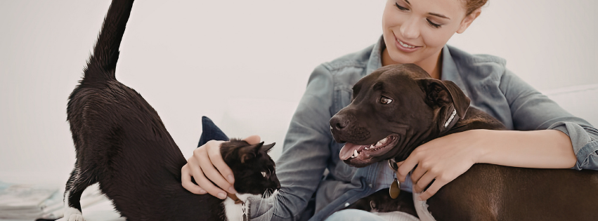 Premium Pet Essentials
