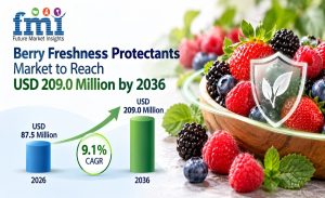 Berry Freshness Protectants Market