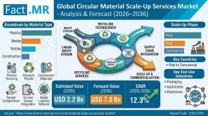 Circular Material Scale-Up Services Market