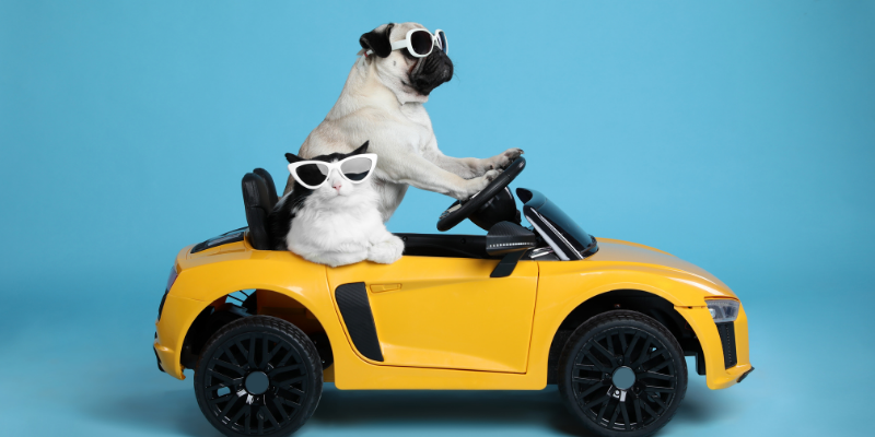 JB Pet Essentials Launches Complete Pet Care Collection for Everyday Companions