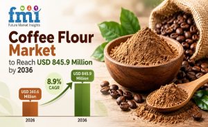 Coffee Flour Market