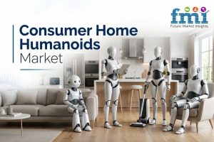 Consumer Home Humanoids Market