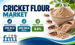 Cricket Flour Market