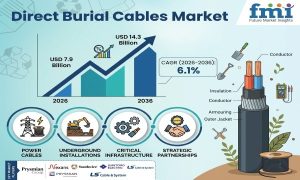 Direct Burial Cables Market