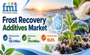 Frost Recovery Additives Market