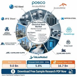 Grain Oriented Electrical Steel Market