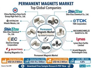 Permanent Magnets Market