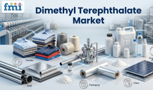 Dimethyl-Terephthalate