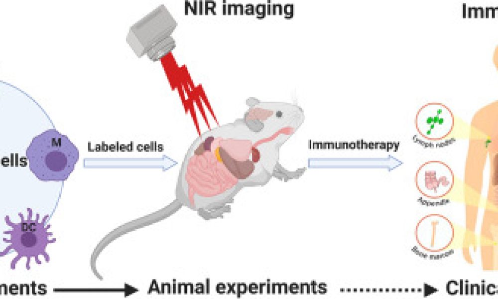 Near Infrared Imaging Market