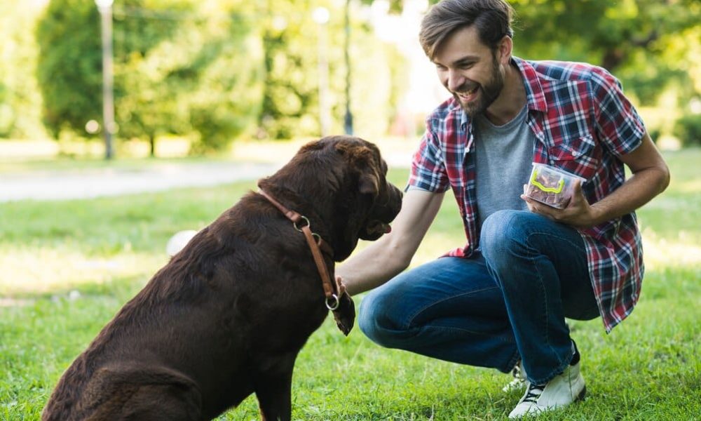 10 Tips for First-Time Dog Owners