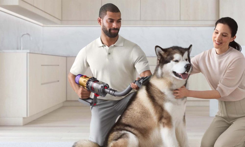 221024104121-dyson-pet-grooming-lead