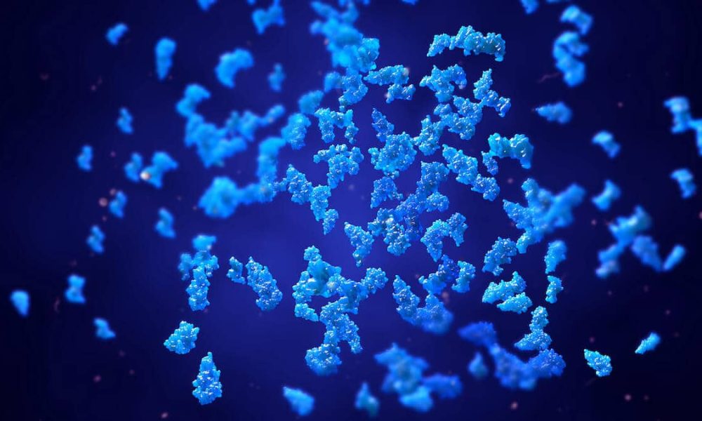 Protein Hydrolysis Market
