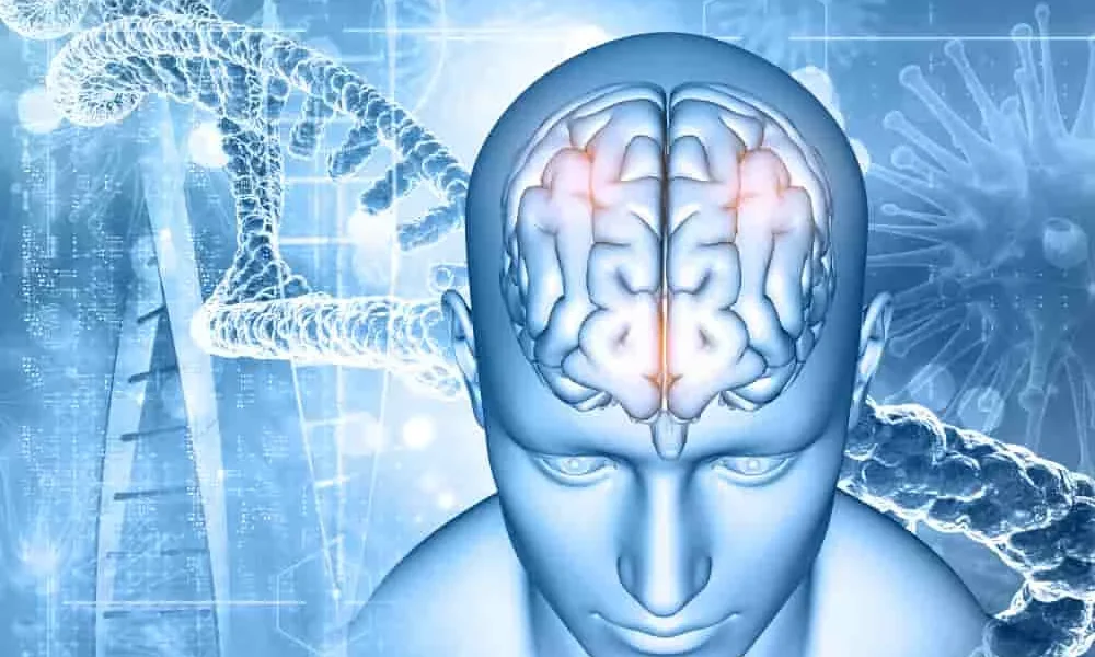 Neurosurgery