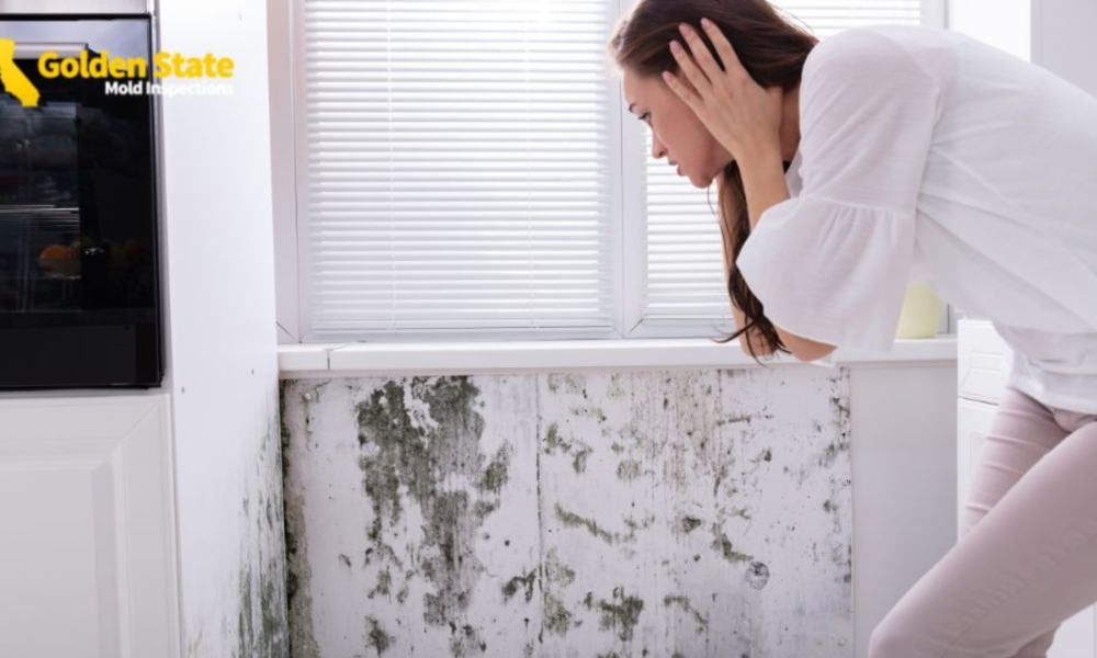Mold inspections in Los Angeles