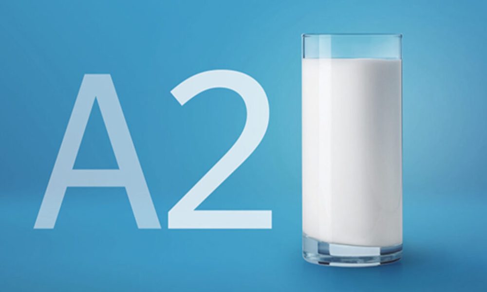 A2 Milk Market