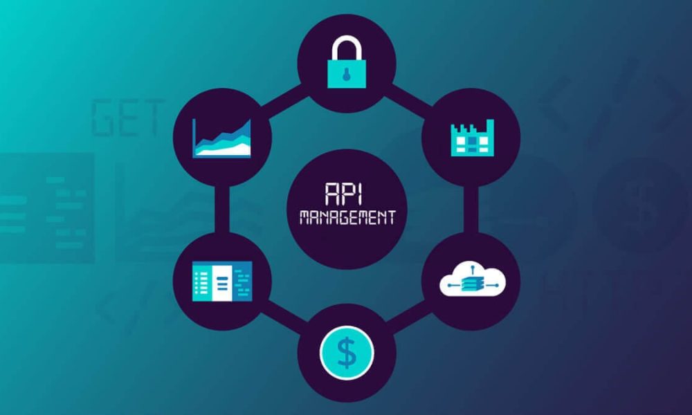 API Management Market Dynamics 2025-2032: Opportunities and Competitive ...