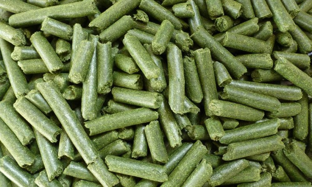 Aalfalfa Protein Concentrate Market