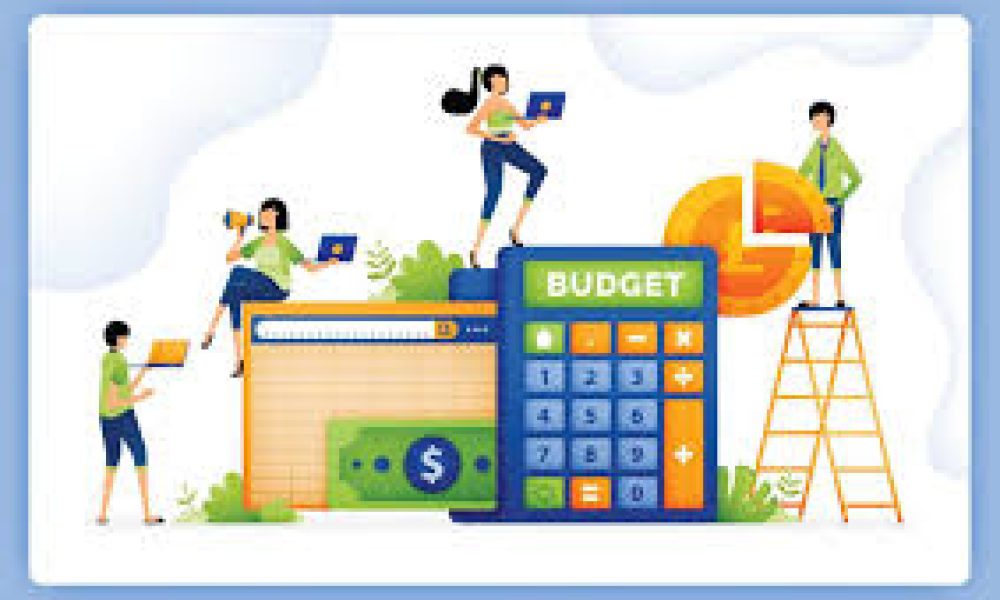 Accounting and Budgeting Software market