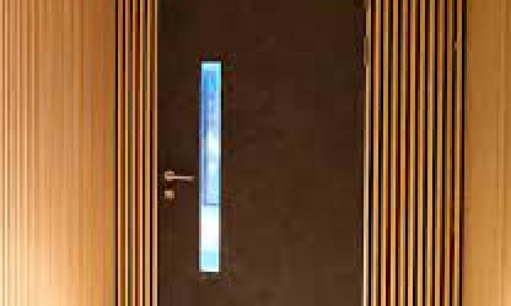 Acoustic Doors1