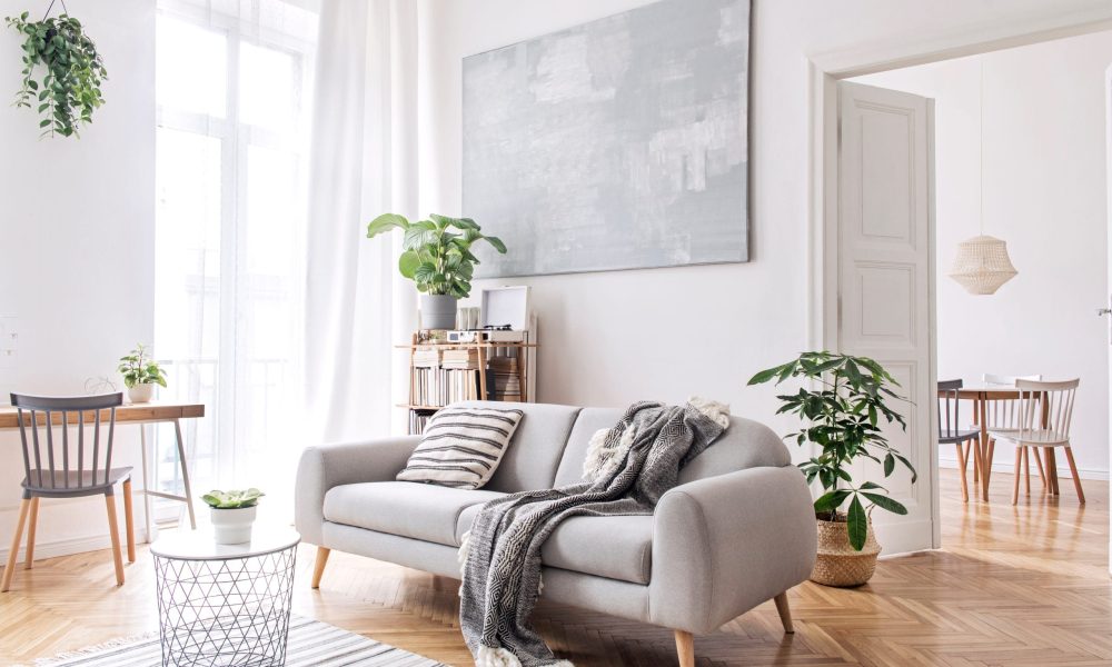 Modern scandianvian living room with design sofa with elegant bl