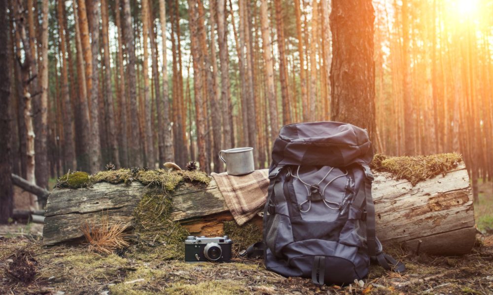 Tourist backpack, metal mug, camera in the forest. Concept of a hiking trip to the forest or mountains.