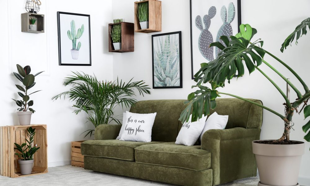 Interior of modern room with comfortable sofa and houseplants