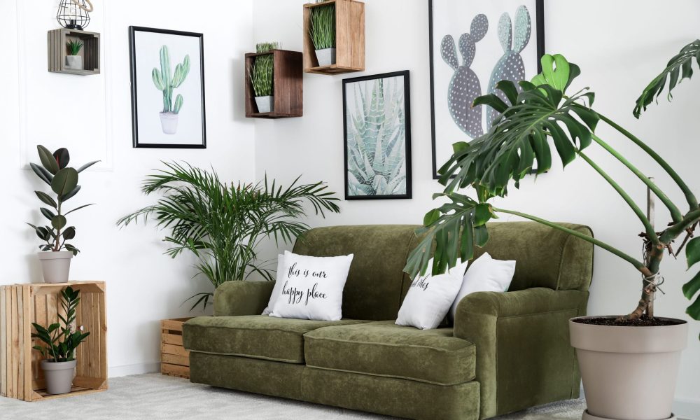 Interior of modern room with comfortable sofa and houseplants