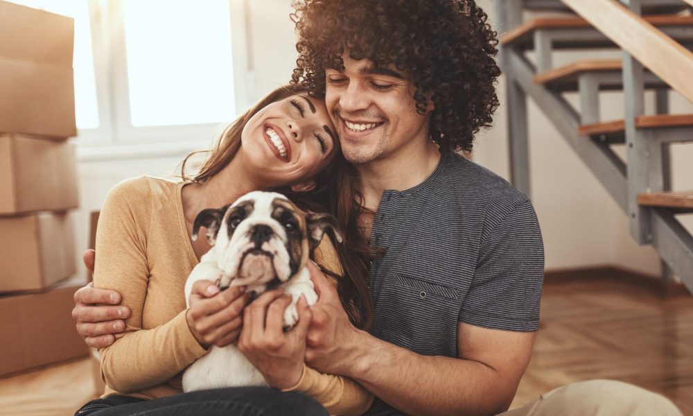 The young happy couple is moving into a new house. They are hugging their little puppy after they brought boxes with things to their new home.