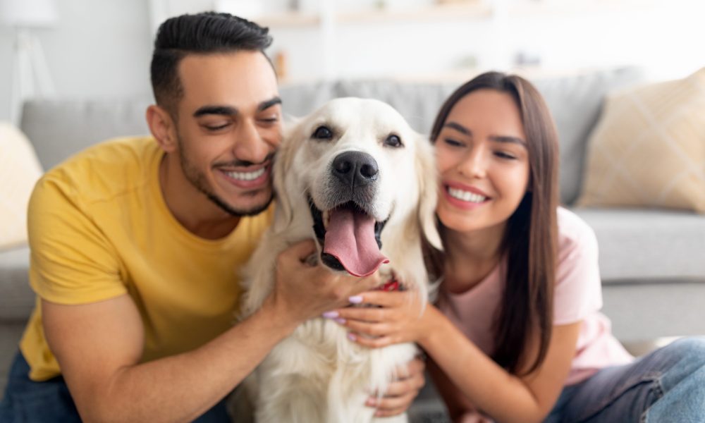 Portrait of happy multiracial couple hugging adorable dog, cuddling with their pet at home. Arab man and his Caucasian girlfriend embracing golden retriever, having fun times indoors, selective focus
