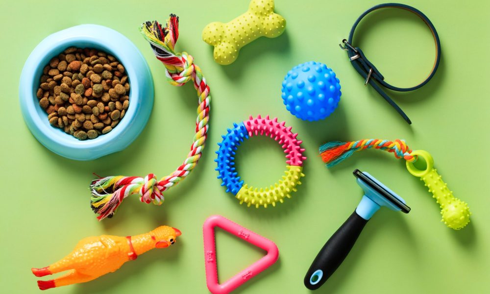 Pet accessories, bowl of dry feed, toys. Top view, flat lay.