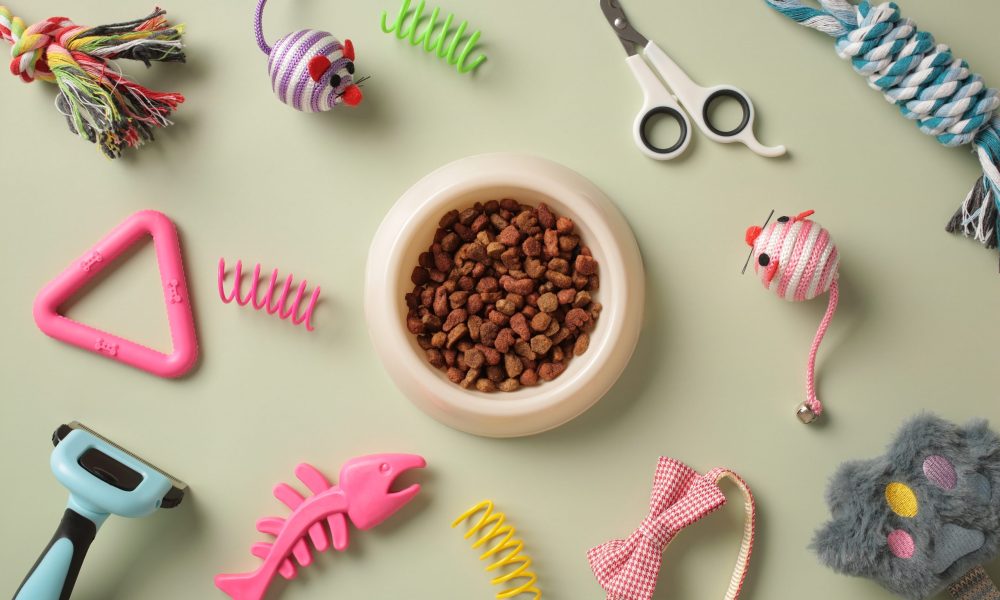 Bowl of dry food and pet supplies on pastel green color background. Pet shop banner concept.
