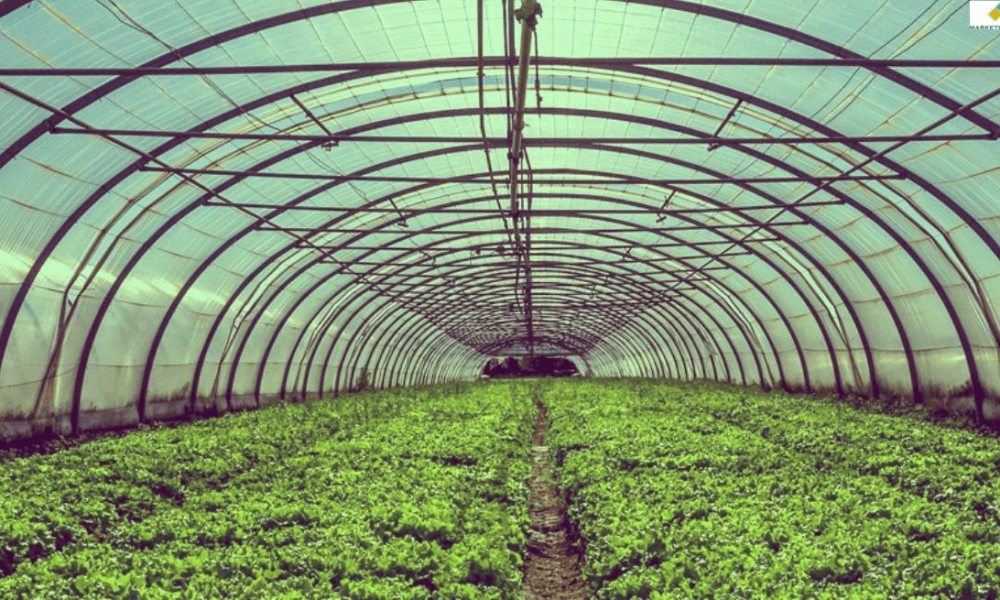 Agricultural Films Market