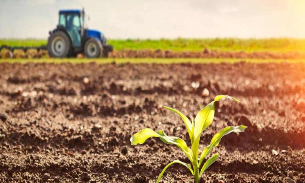 Agricultural Grade Zinc Market