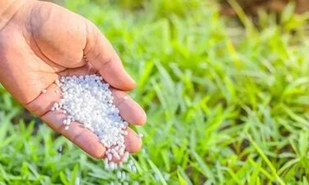 Agricultural Grade Zinc Sulfate Market
