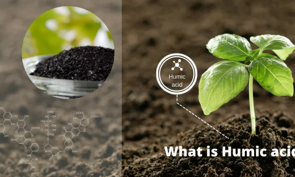 Agricultural Humic Acid Market
