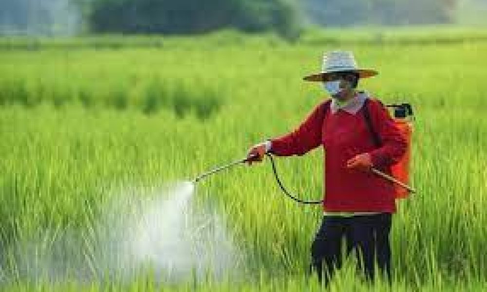 Agricultural Sprayer Market