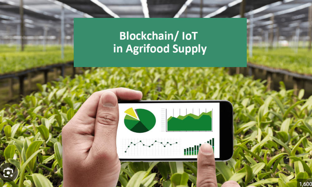 Agrifood Blockchain Market
