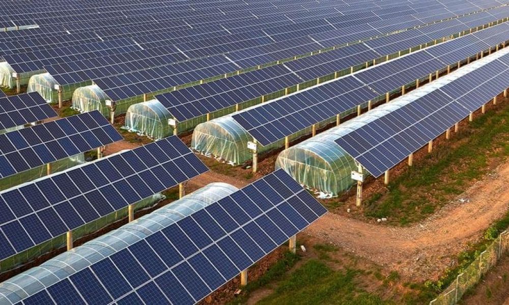Agrivoltaics Market
