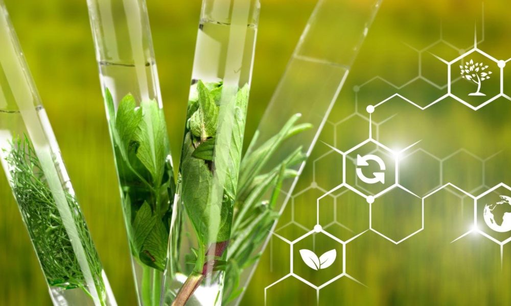 Agrochemicals Market